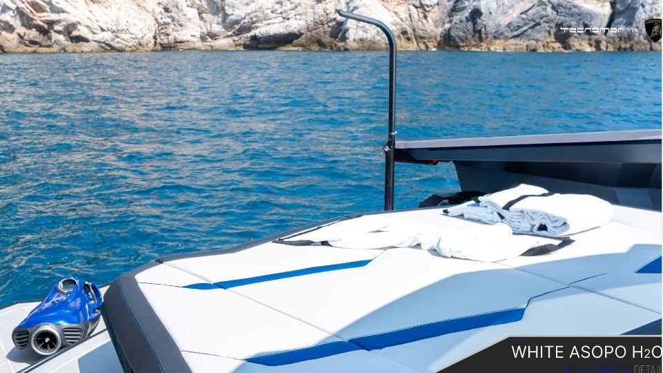 white-asopo-image (4)