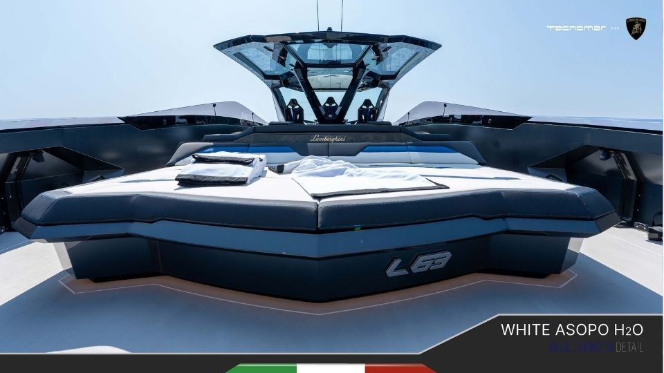 white-asopo-image (5)