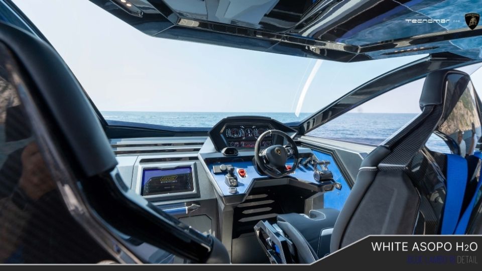 white-asopo-image (6)