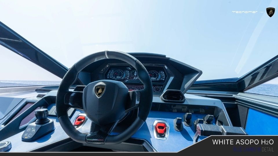 white-asopo-image (7)